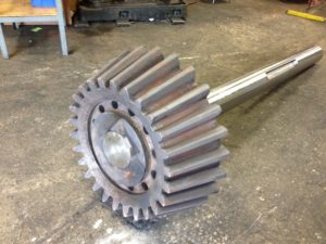 Pinion gear and shaft